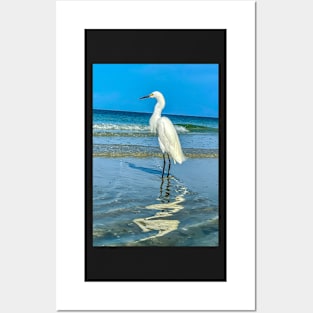 White Egret Posters and Art